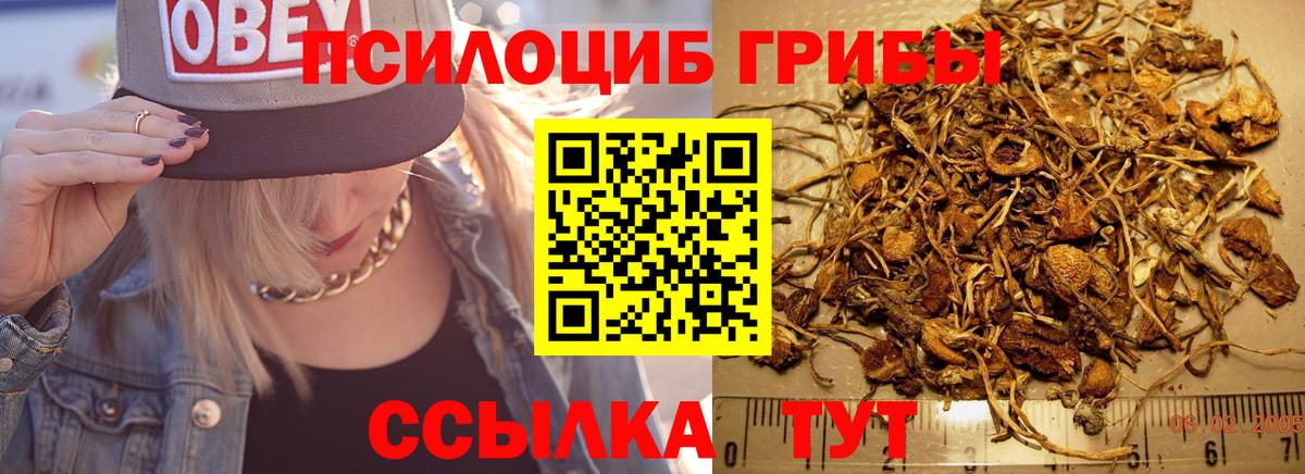 Галлюциногенные грибы мицелий Электрогорск