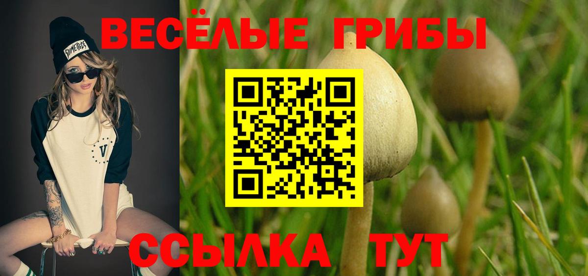 Галлюциногенные грибы мухоморы  Вход с VPN  Галлюциногенные грибы MAGIC MUSHROOMS  Электрогорск 